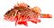 Scorpaena papillosa (Schneider & Forster, 1801) Red Rockcod, or red scorpionfish, "Grandaddy".jpg