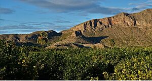 Archivo:Sierra de Orihuela en su lado santomerano