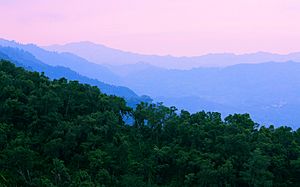 Archivo:Sierra del Merendon en Honduras 2
