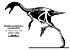 Similicaudipteryx.jpg