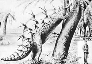 Archivo:Stegosaur