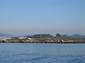 Toxa pequena 1-2.jpg