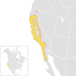 California thrasher range