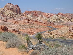 Archivo:Valley of Fire11