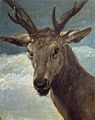Velázquez - Cabeza de venado (Museo del Prado, 1626-28)