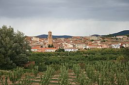 Vista de Miedes, Zaragoza, España, 2015-09-16, JD 02.JPG