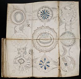 Voynich Manuscript (158)
