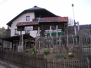 Archivo:Wien-Salmannsdorf Heuriger 2 310305