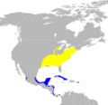 Wilsonia citrina map