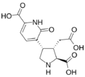 Acromelic acid A structure