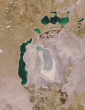 Vista del desierto y del mar Aral en 2008