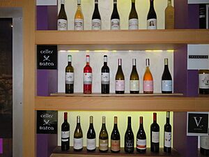 Archivo:Bodegas y Vinos de Batea, Terra Alta, Tarragona