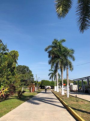 Archivo:Boulevard de Huichapa 2019