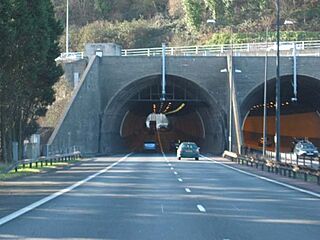 Bryn Glas Tunnels M4 (Eastern Portal) - geograph.org.uk - 109138.jpg