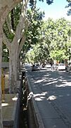 Calle Mitre, San Juan, Argentina