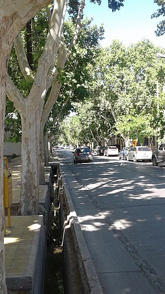 Calle Mitre, San Juan, Argentina