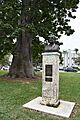 Carlos J. Finlay (Collins Park)