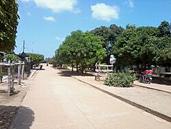 Carrera Central Ricaurte Magdalena.jpg