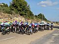 Carrera ciclista. Pelotón ciclista