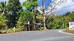Carretera PR-782, Cidra, Puerto Rico.jpg