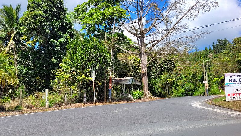 Carretera PR-782, Cidra, Puerto Rico