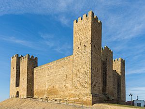 Archivo:Castillo de Sádaba, Huesca, España, 2015-01-06, DD 03