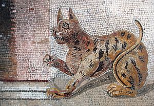 Archivo:Cat mosaic