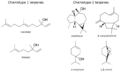 Chemotypes found in Melaleuca quinquenervia