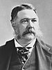 Chester A. Arthur by Abraham Bogardus - black & white.jpg