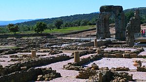 Archivo:Ciudad romana de Cáparra.