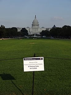 Archivo:Closed lawn of National Mall with US Capitol in background; Washington, DC; 2013-10-06