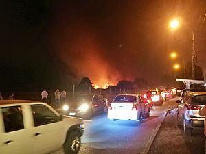 Archivo:Congestion vehicular Camino Nuevo Incendio forestal 2023 - Villa Jerusalen y Quilmo - Chillan