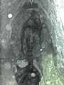 Cueva de Mari cara 1
