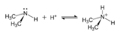 Dimethylammonium-formation-2D