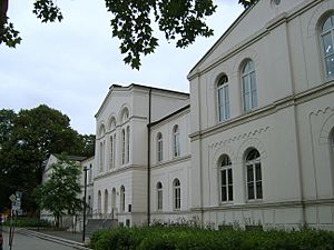 Archivo:Ehemaliges Israelitisches Krankenhaus Hamburg-St. Pauli