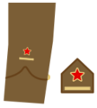 Ejerpopulardivi6
