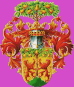 Escudo completo de ciudad Pirna (dibujo).svg