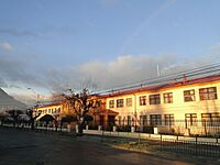 Archivo:Escuela Pedro Quintana Mansilla a