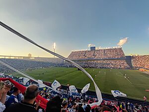 Archivo:Estadio José Amalfitani 2025