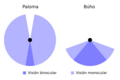 Fieldofview-pigeon-owl-es