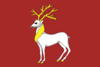 Flag of Rostov (Yaroslavl oblast).png