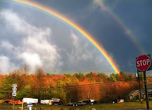 Archivo:Flickr - Nicholas T - Arched (1)