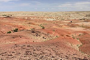 Archivo:Gobi, krajobraz pustyni (23)