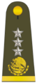 Gral division