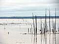Grenada Lake (3388952126)