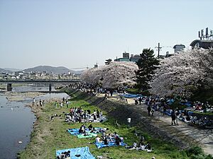 Archivo:Kamogawa hanami