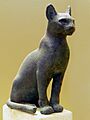 Katze Senckenberg