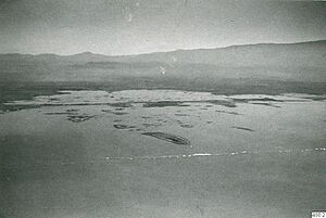 Archivo:Lago de Texcoco Vista Aerea Decada 1940