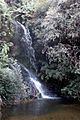 Leura - waterfall