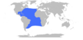 Makaira nigricans Range Map